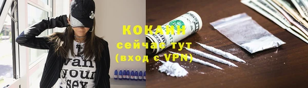 spice Абаза