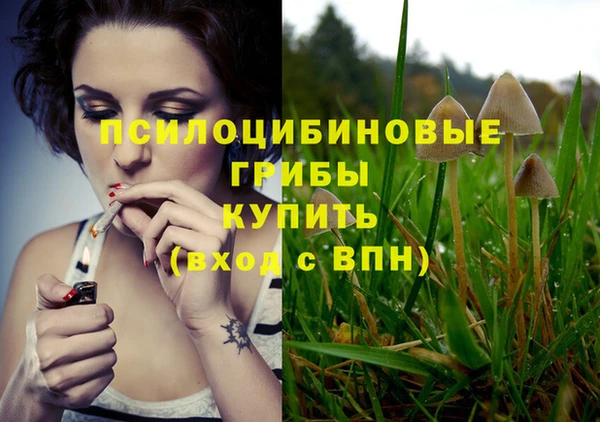 spice Абаза