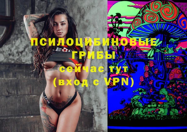 амф Абдулино