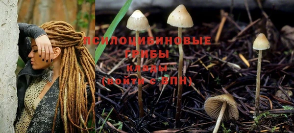шишки Алексеевка