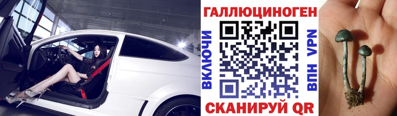 Псилоцибиновые грибы ЛСД Переславль-Залесский